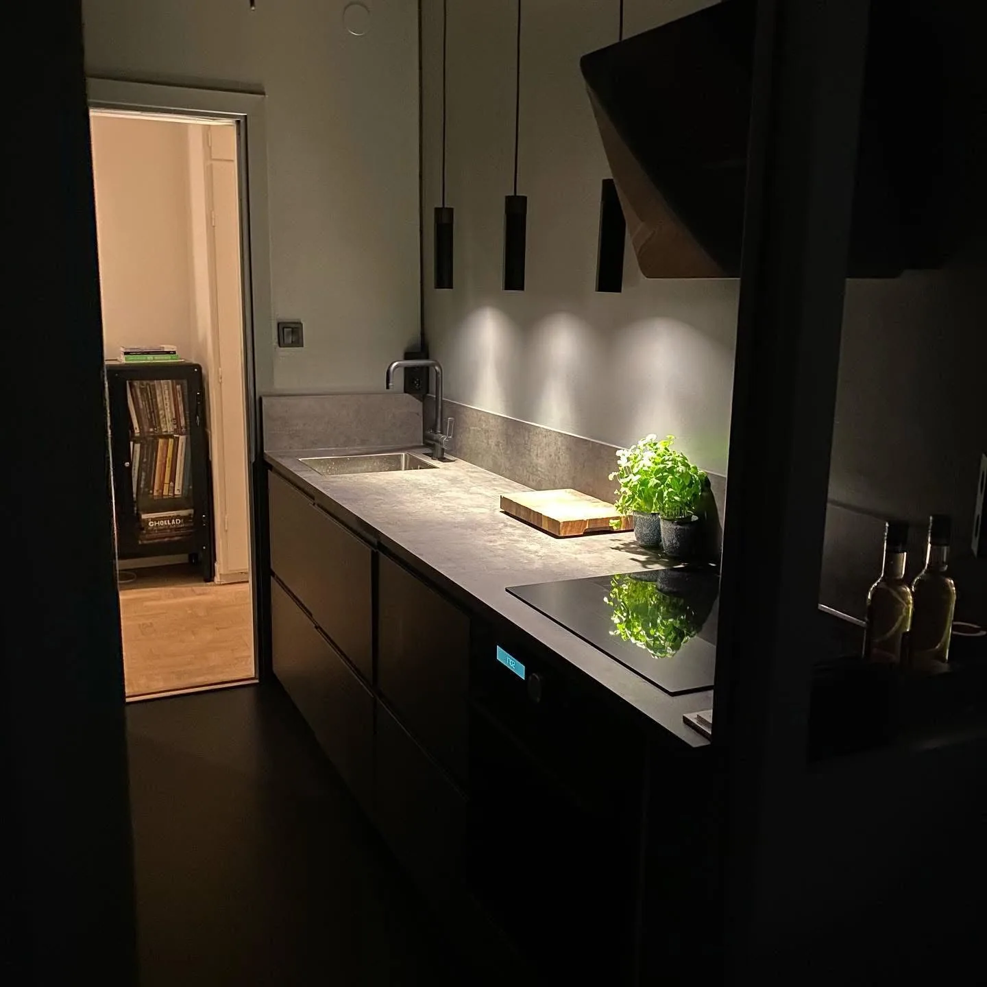 Nybyggt kök, Luthagen, Uppsala